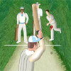 Simulation de cricket