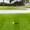 Comptition de golf