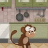 Le singe malheureux qui veut retourner dans la forêt panique
